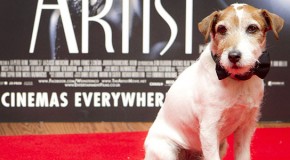 3 Animal Actors You Never Thought to Thank
