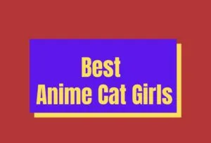 Best Anime Cat Girl